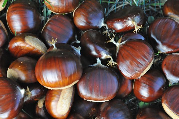 Thumbnail title Thumbnail title