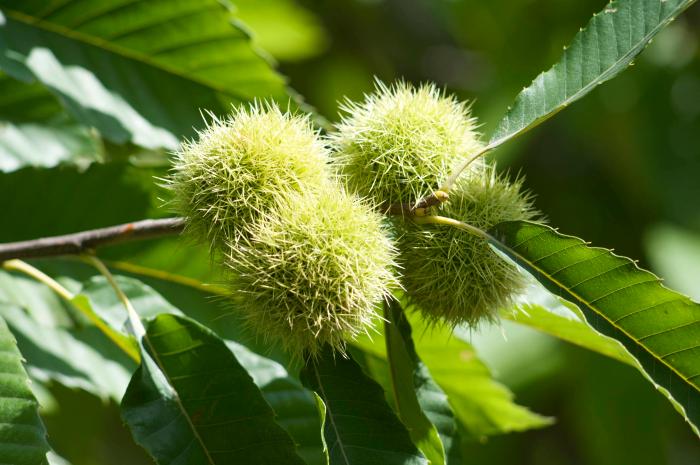 Thumbnail title Thumbnail title