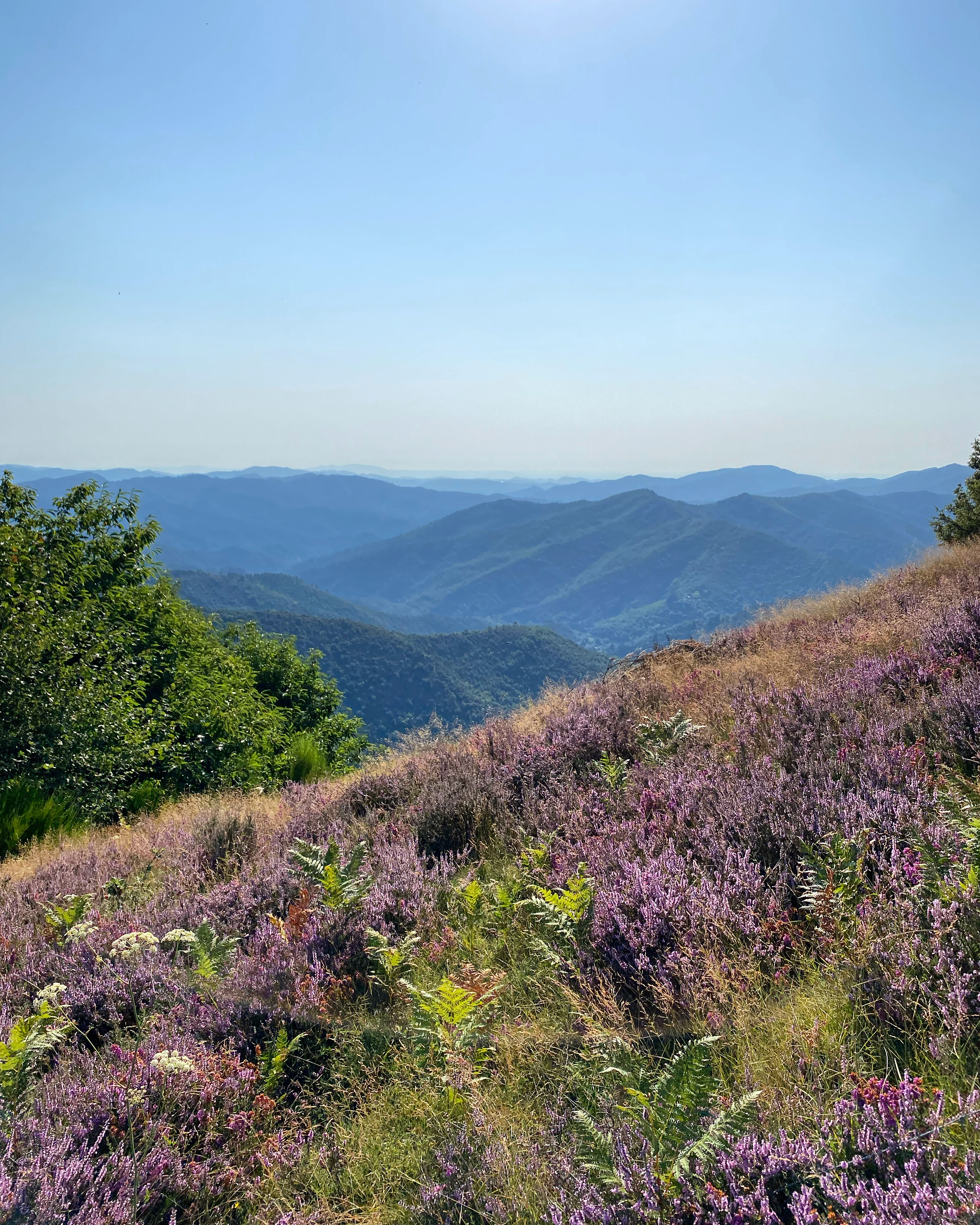 Thumbnail title Thumbnail title