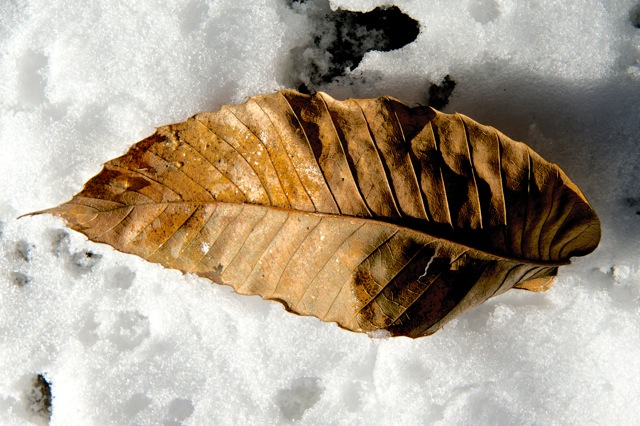 Thumbnail title Thumbnail title