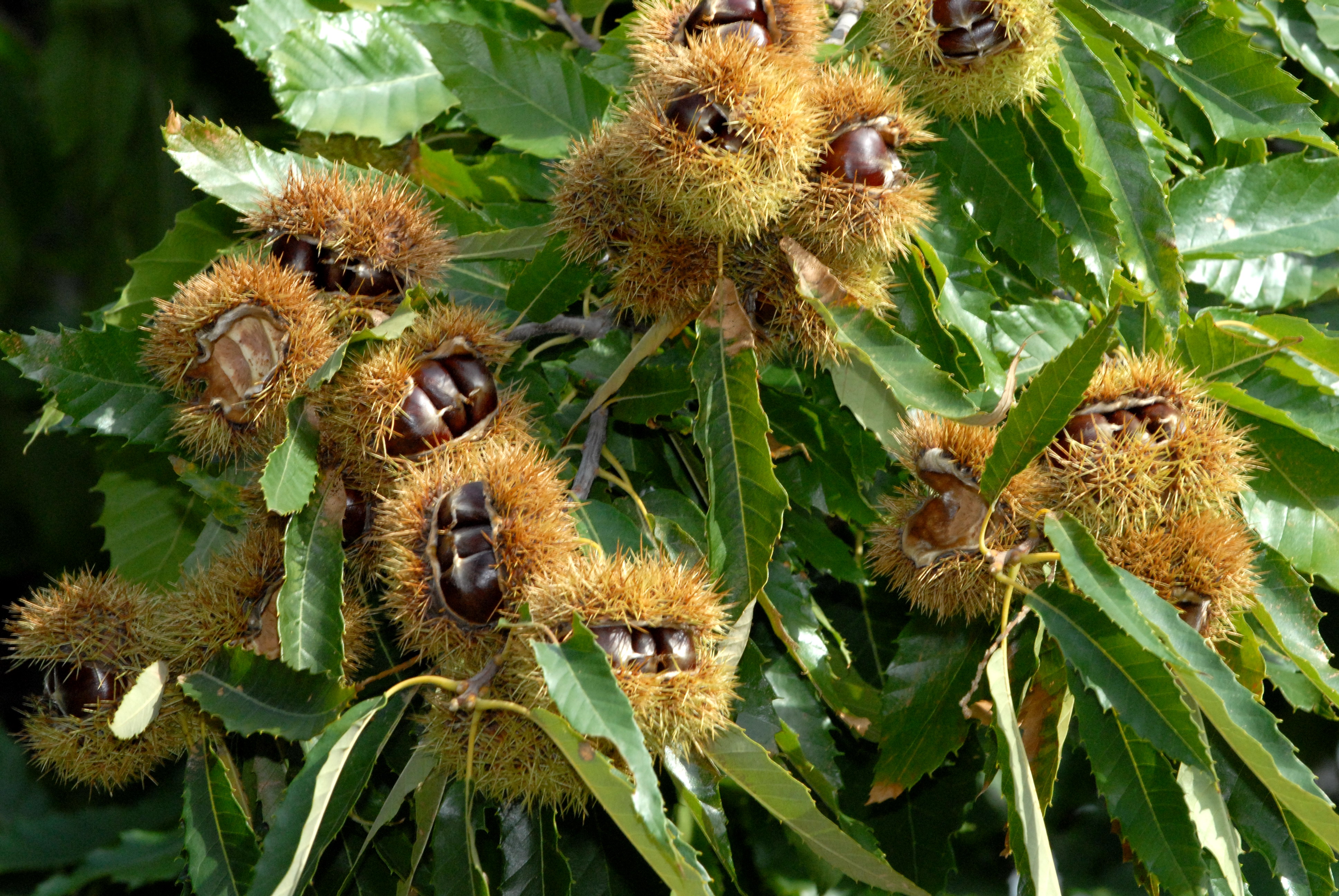 Thumbnail title Thumbnail title